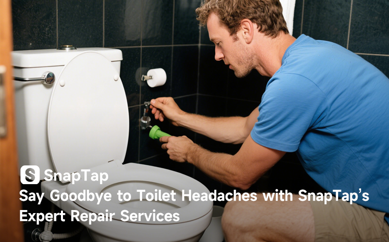 toilet repair